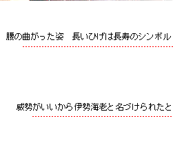 威勢がいいから伊勢えび